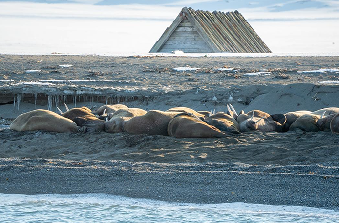 Svalbard